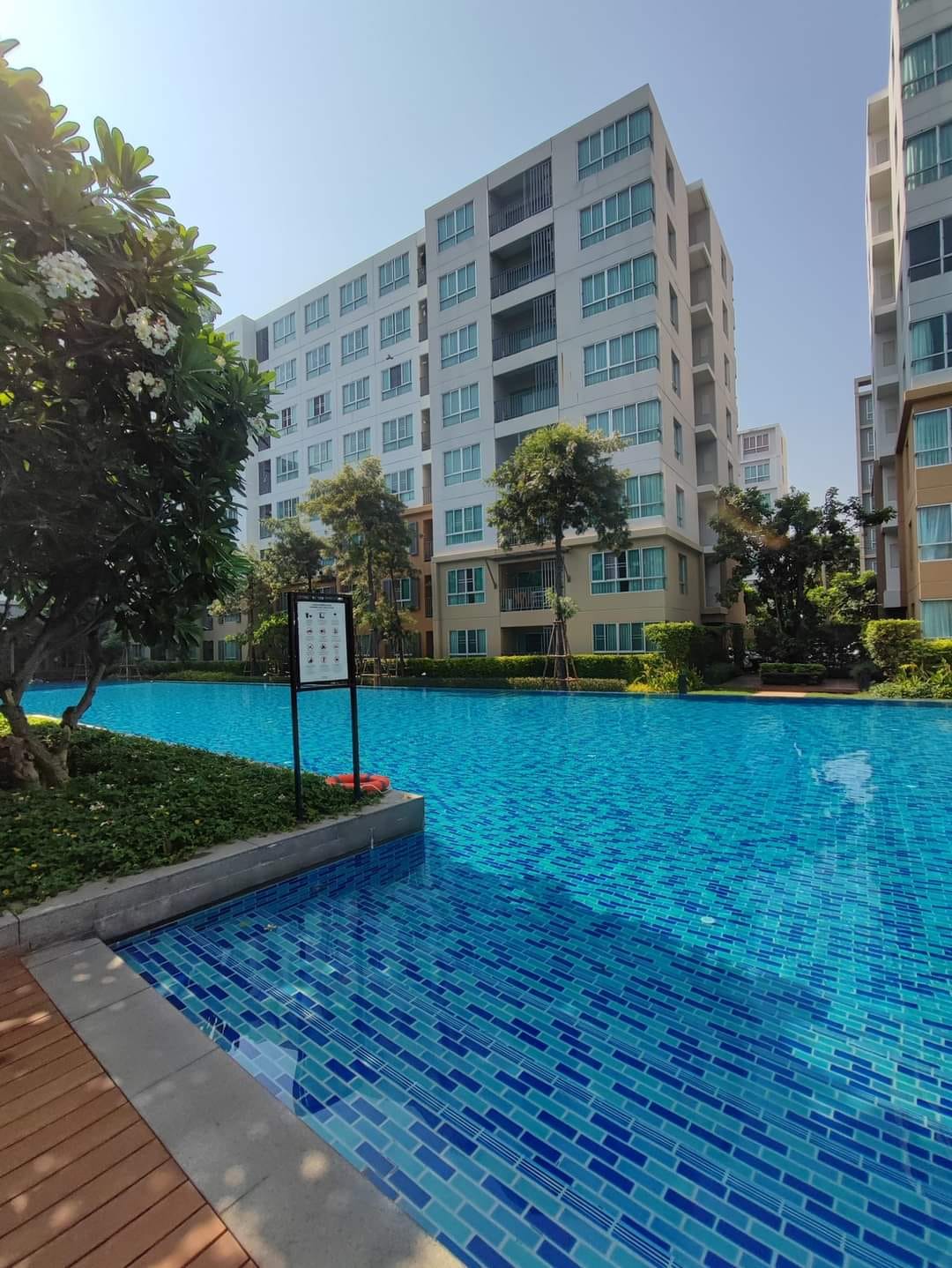 DCondo Nim - Image 6