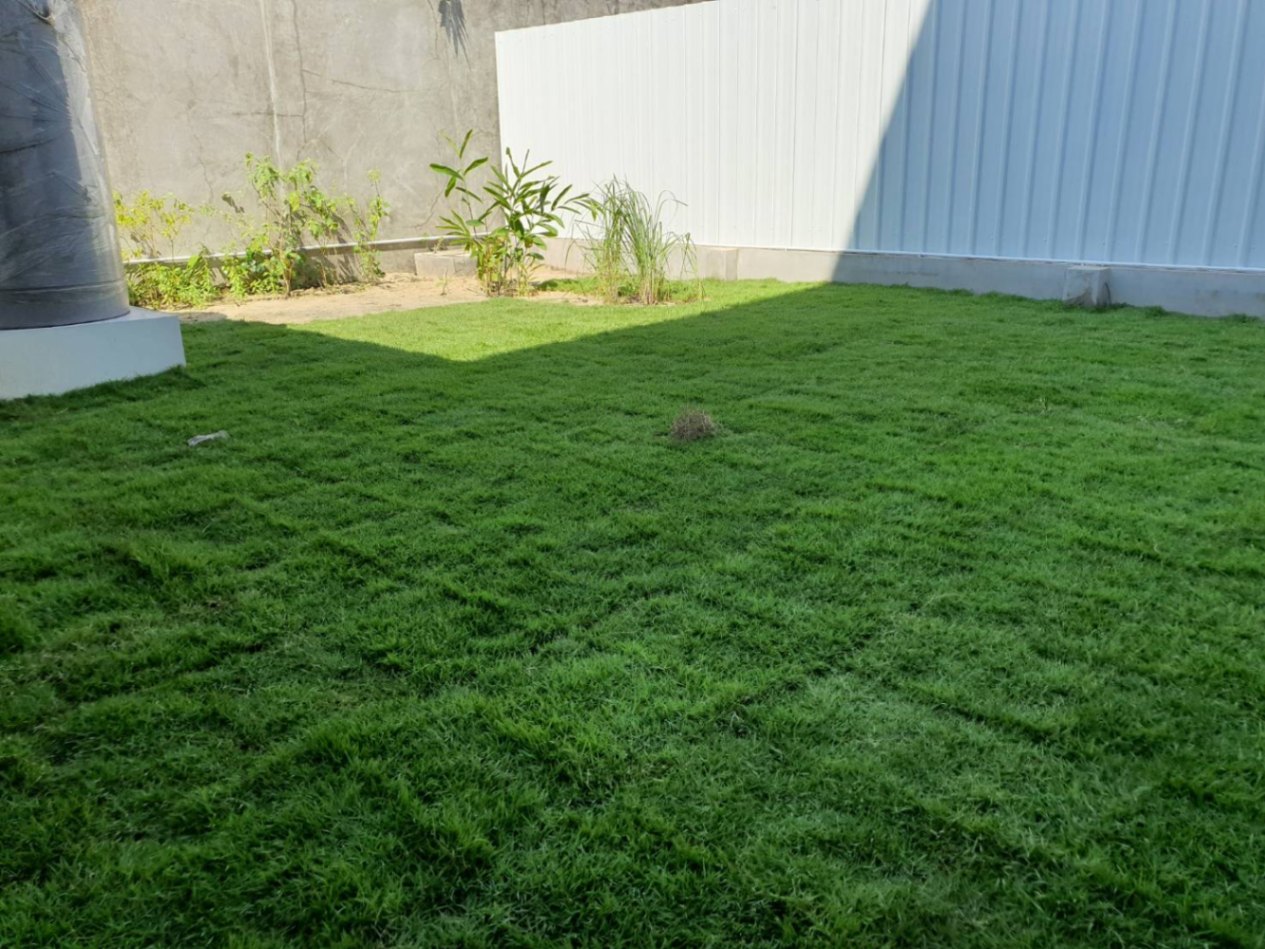 5 ห้องนอน บ้านเดี่ยว สำหรับขาย ใน บางจาก, พระโขนง, กรุงเทพมหานคร - Image 38