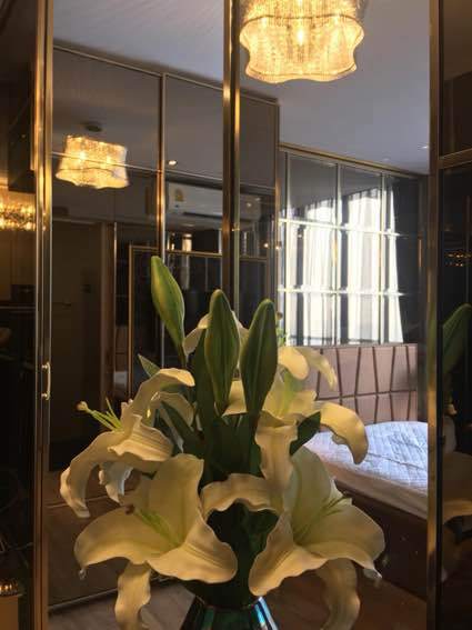 1 卧室 公寓  在  - Image 12