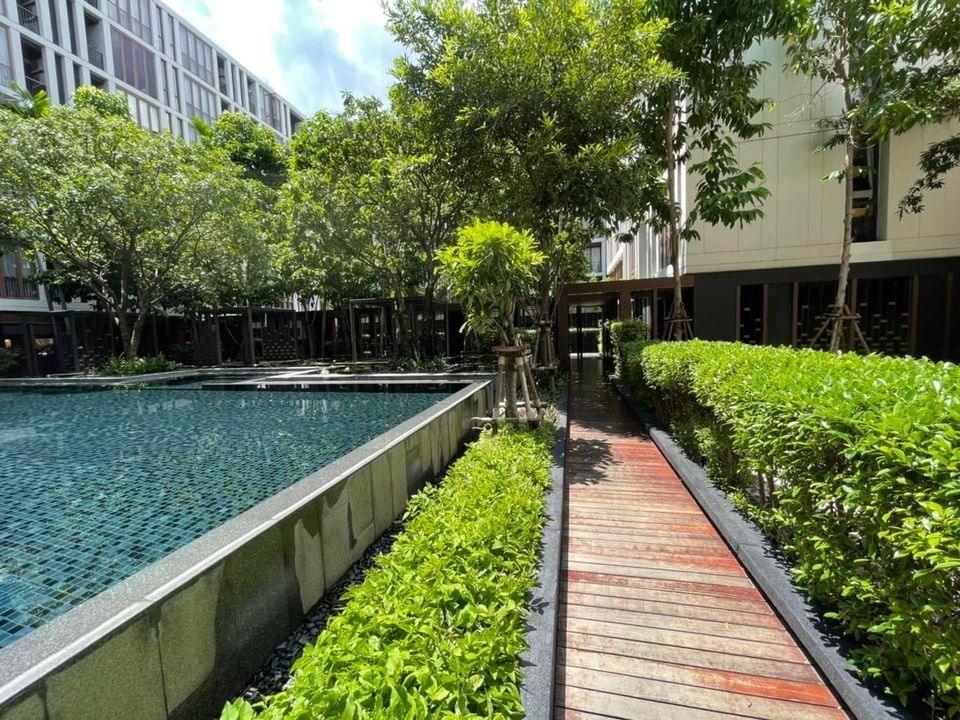 Hasu Haus - Image 19