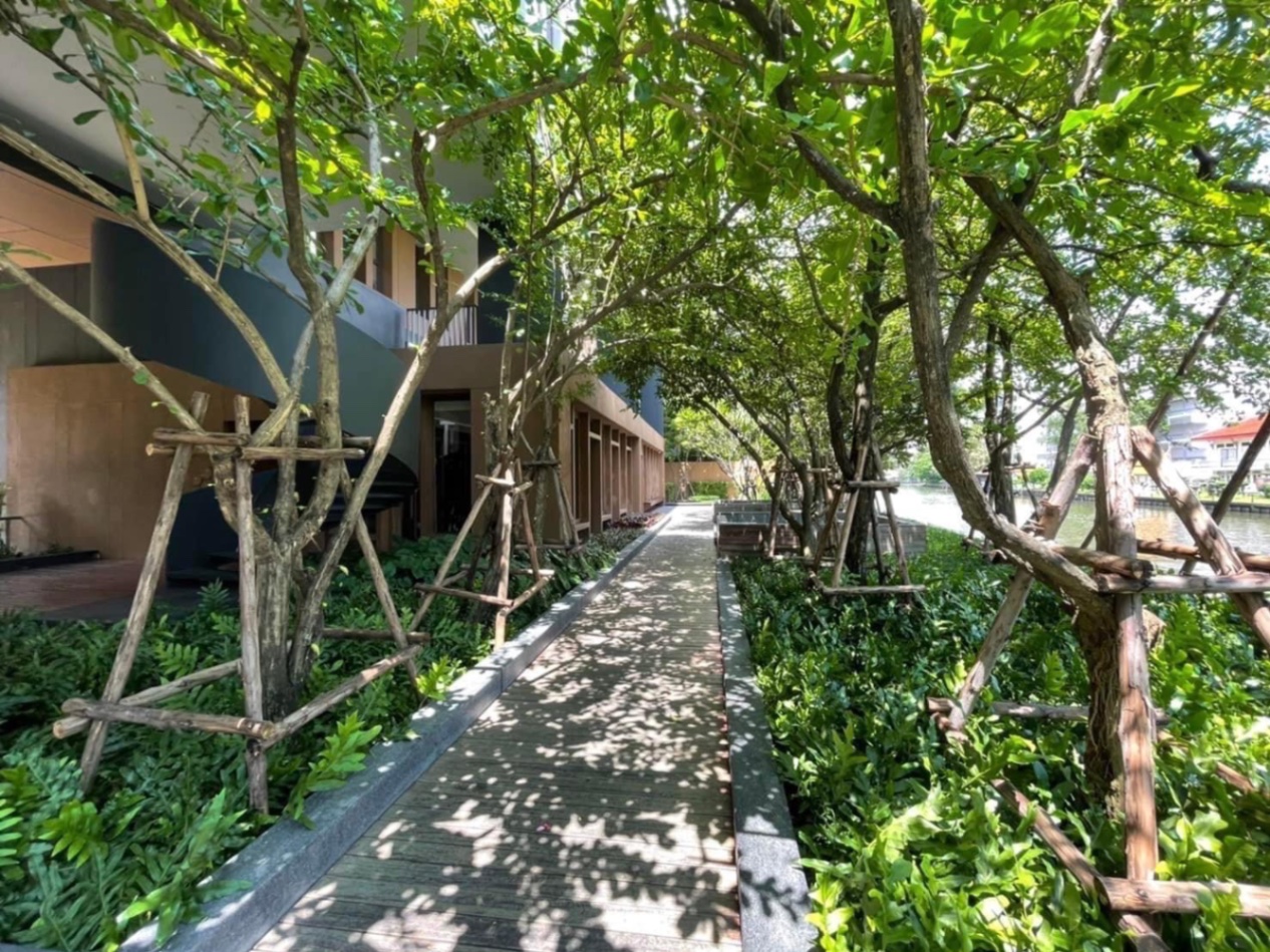 Hasu Haus - Image 11