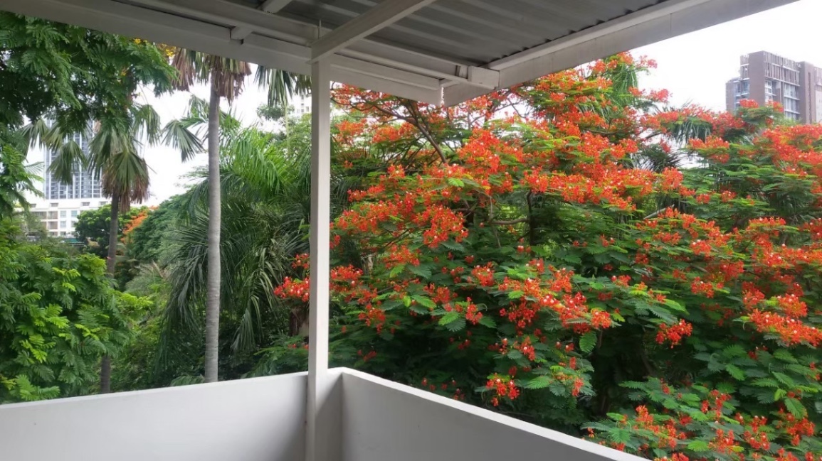 4 ห้องนอน ทาวน์เฮาส์  ใน พระโขนง, คลองเตย, กรุงเทพมหานคร - Image 12