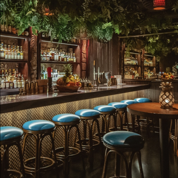 Three Dots and a Dash - A Speakeasy Tropical Bar in River North