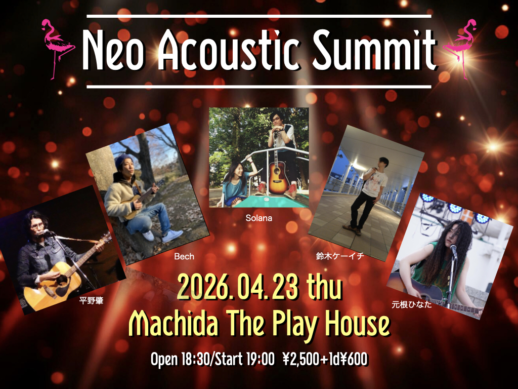 Neo Acoustic Summit