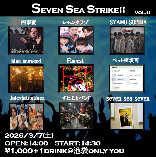 SEVEN SEA STRIKE VOL.6