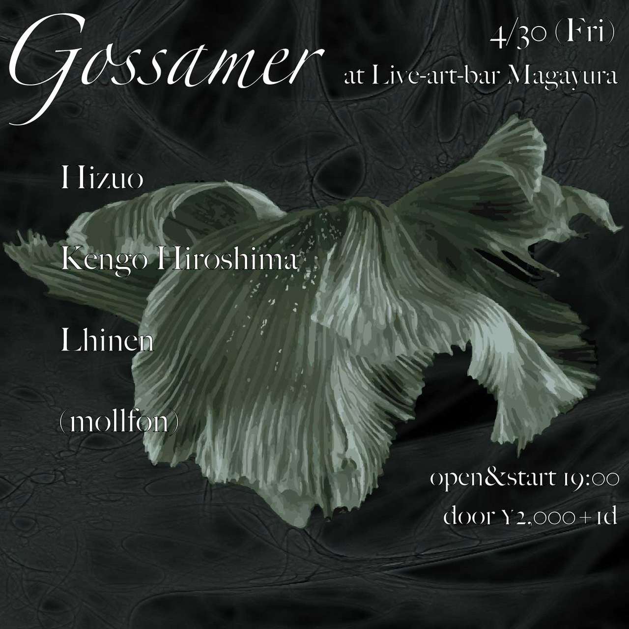 4/30 Fri [Gossamer]