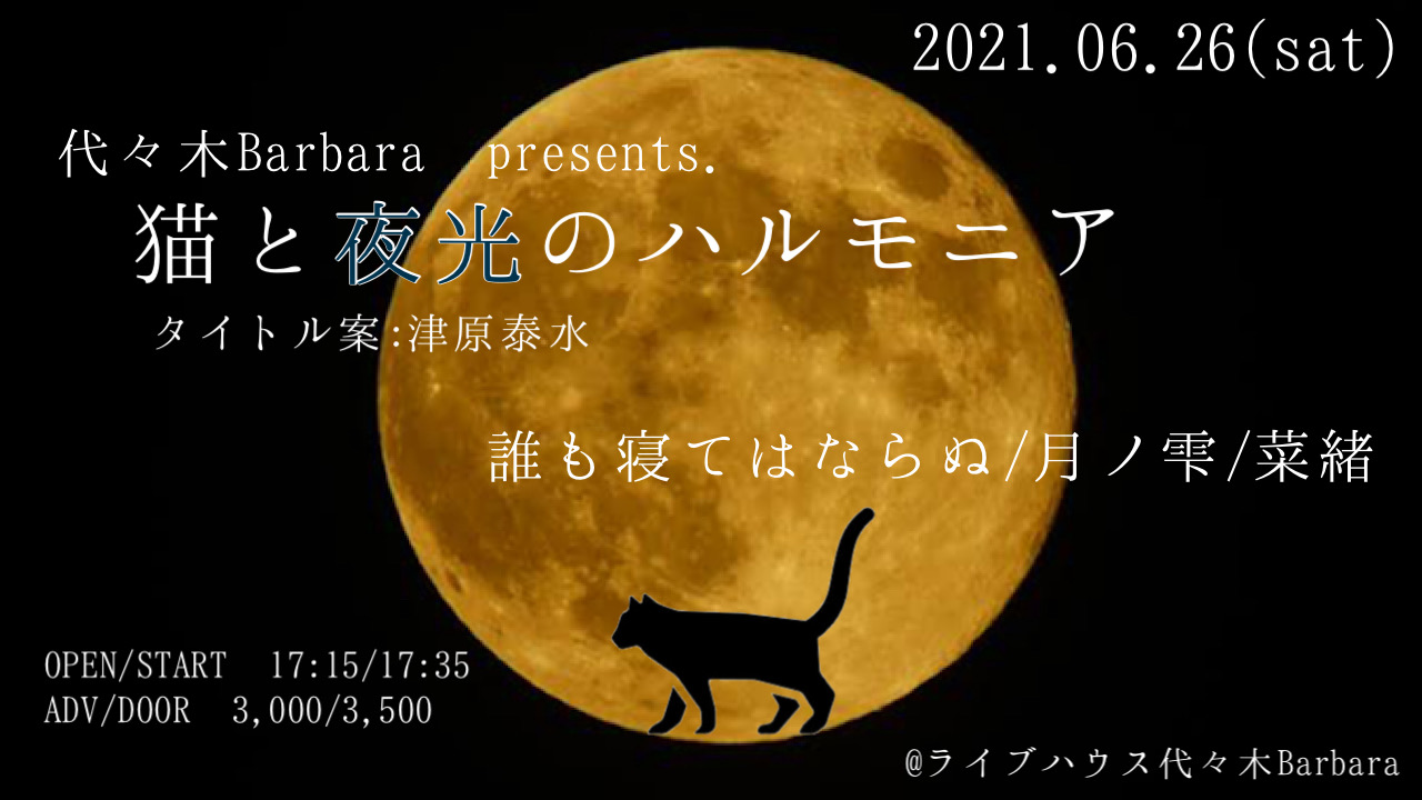 猫と夜光のハルモニア