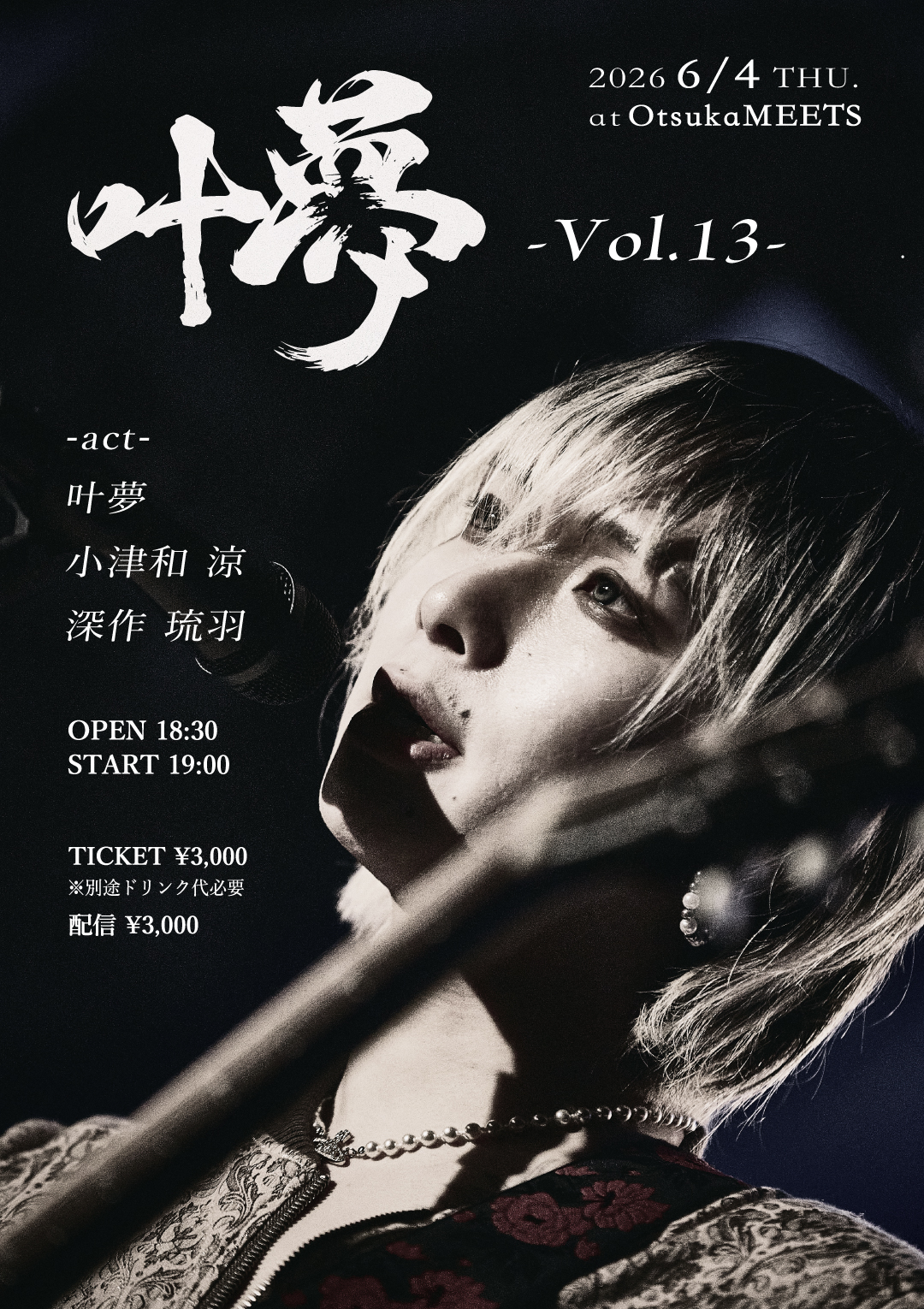 叶夢 Vol.13
