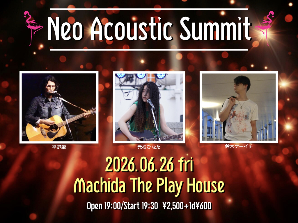 Neo Acoustic Summit