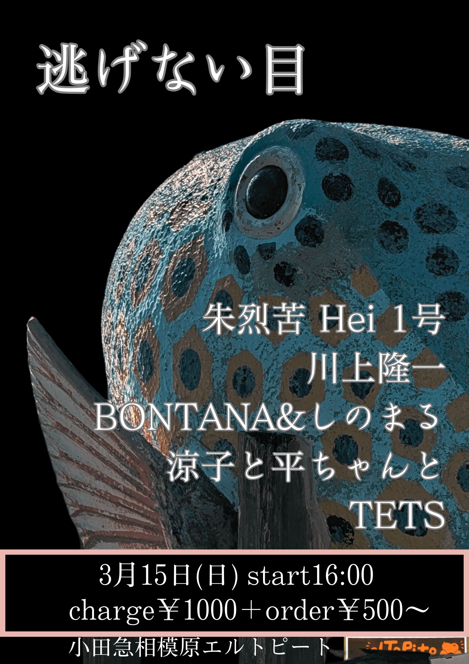 ブッキングライブ【逃げない目】
