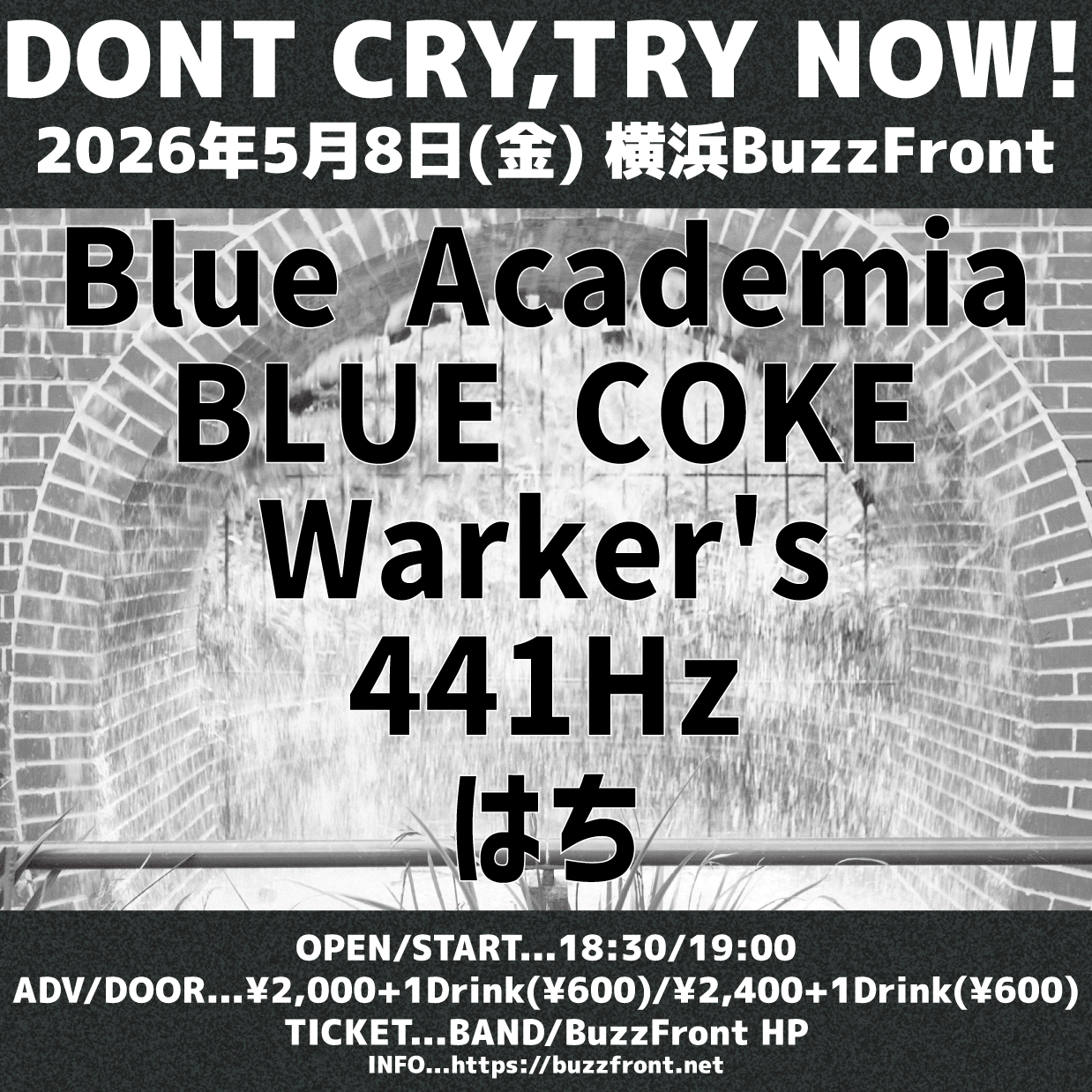 “DONT CRY,TRY NOW!”