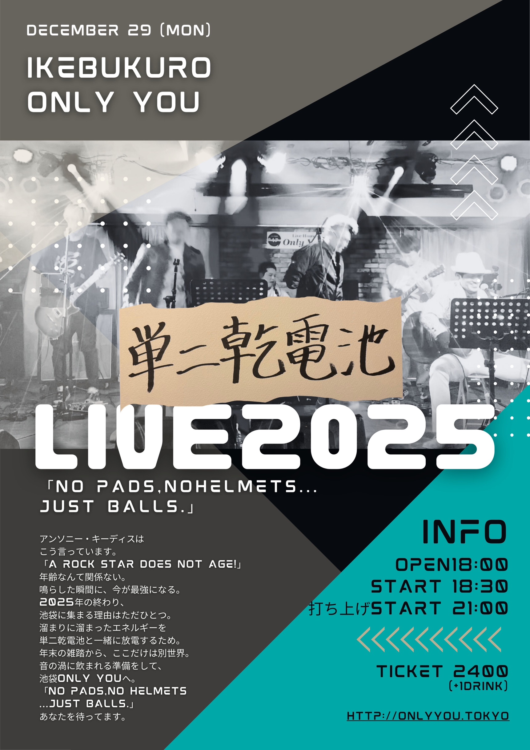 単二乾電池LIVE 2025