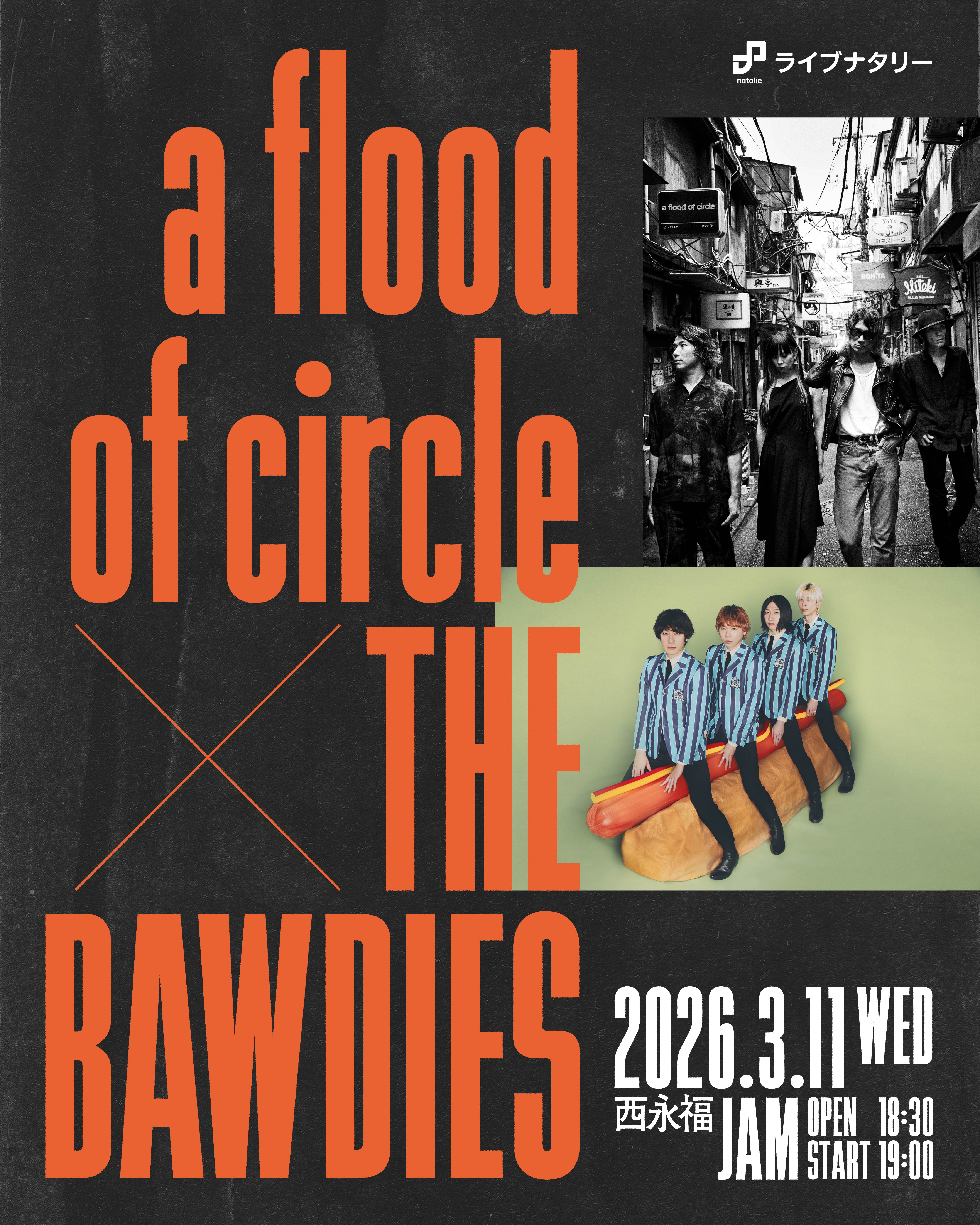 ライブナタリー “a flood of circle × THE BAWDIES”