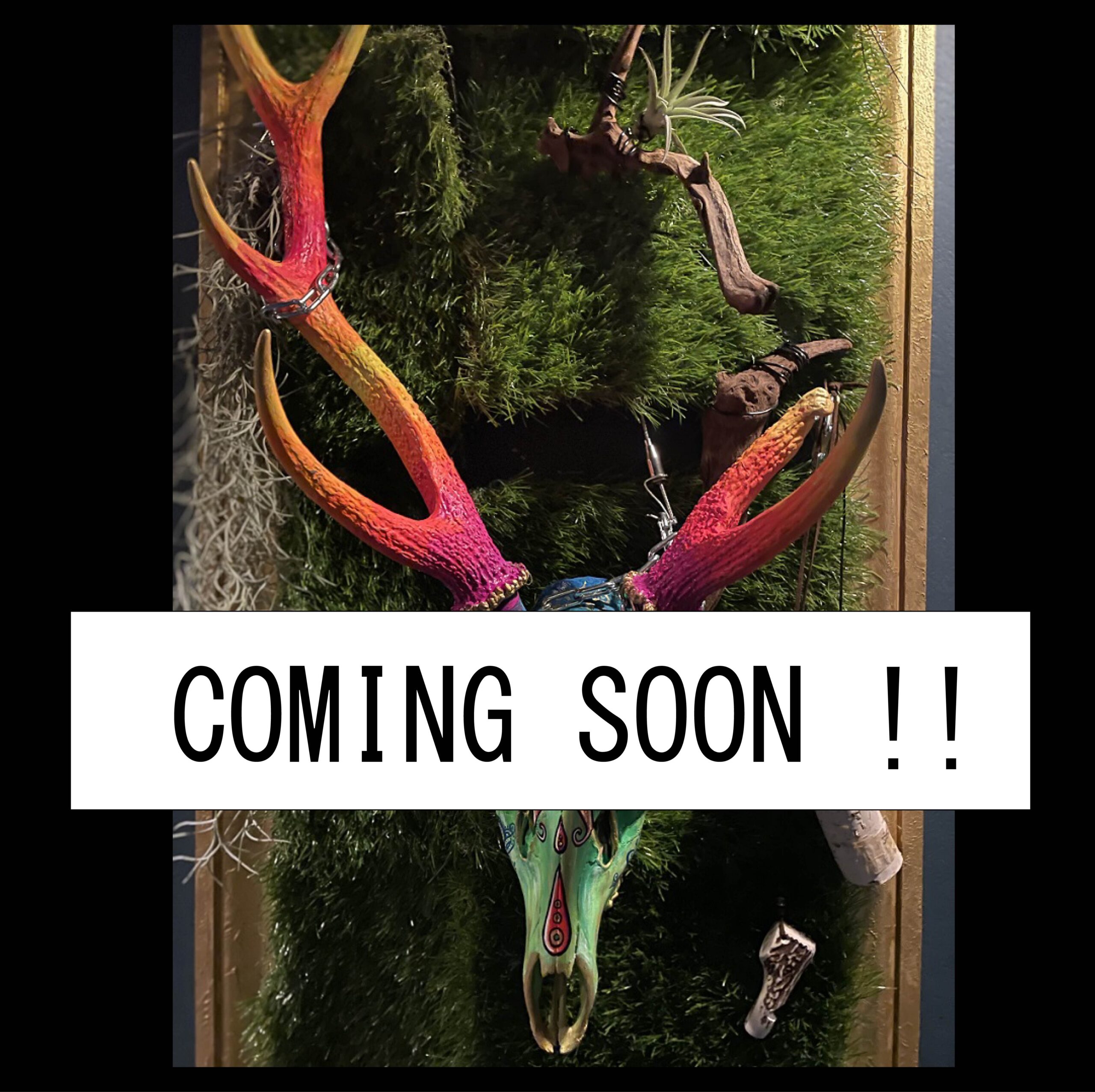 「~有象無象 theRabble~」Presented by はりや