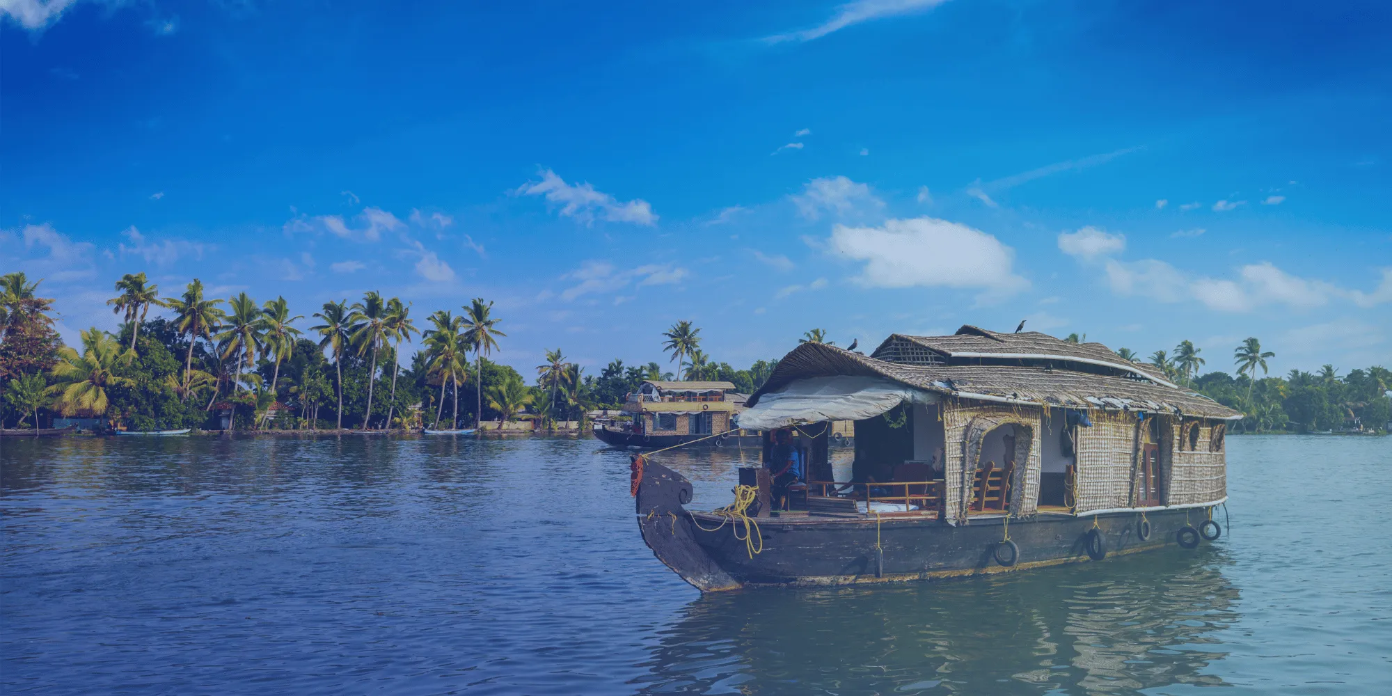 kochi_image