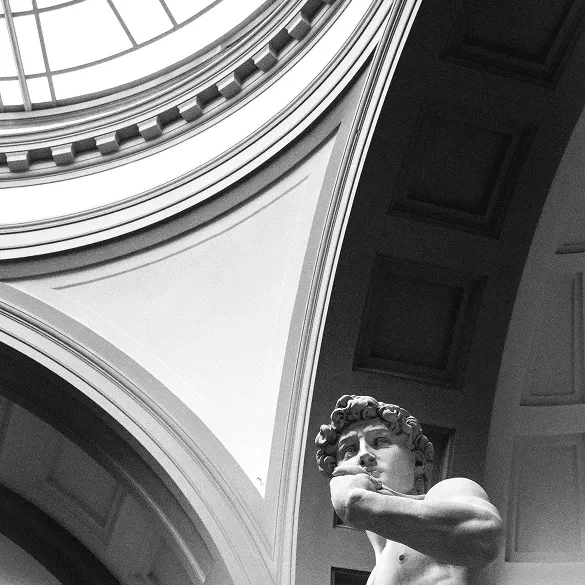 Detail of Michelangelo’s David head and expression