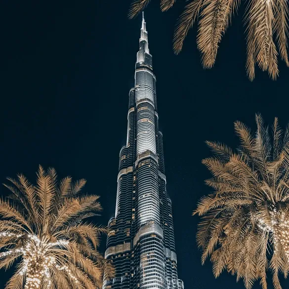 Burj Khalifa Night Photo With Palm Trees in Dubai