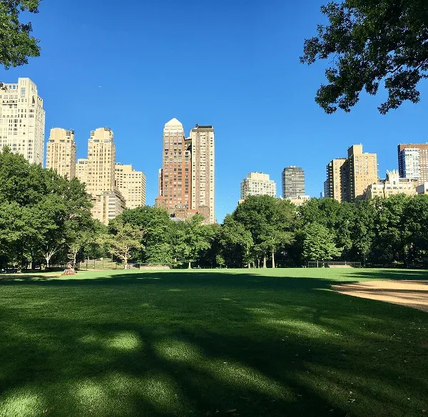 Pradera de Central Park con el skyline de Manhattan al fondo en un día despejado.