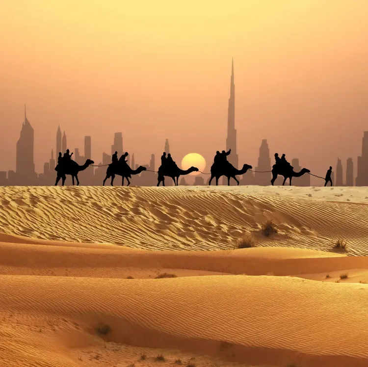 Premium Desert Safari Dubai