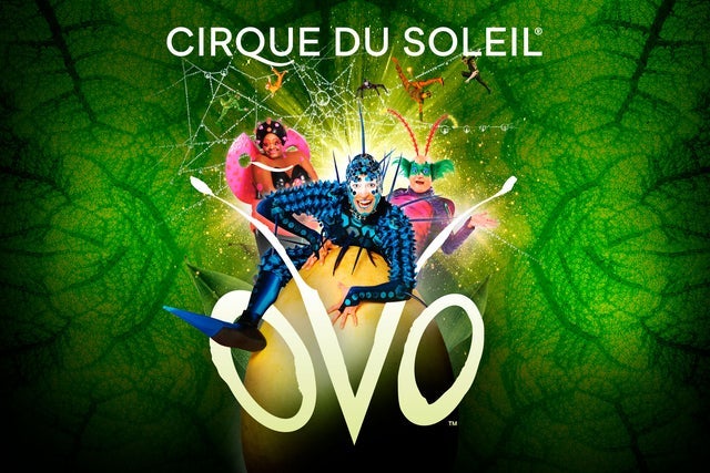 Cirque du Soleil - Ovo