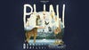 Plini