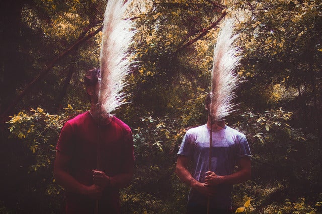 slenderbodies