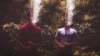 Slenderbodies