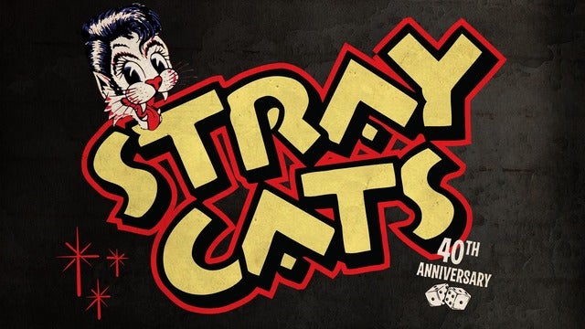 stray-cats