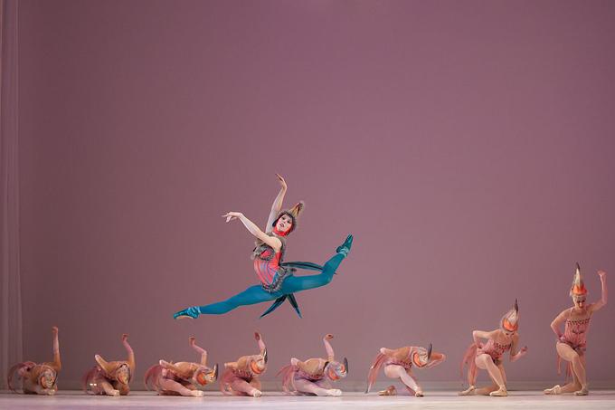 The Washington Ballet