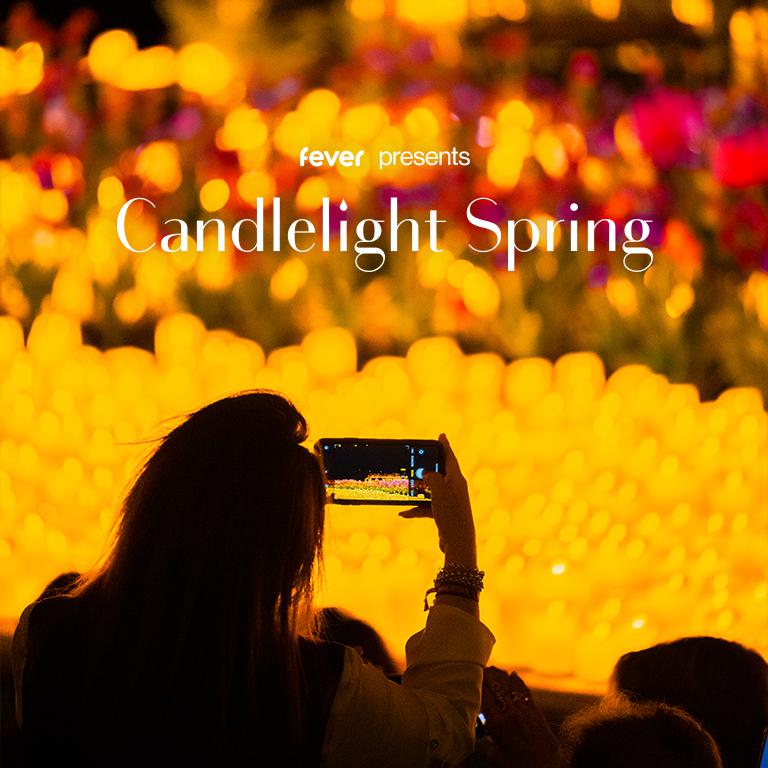 Candlelight Spring: A Tribute to Taylor Swift