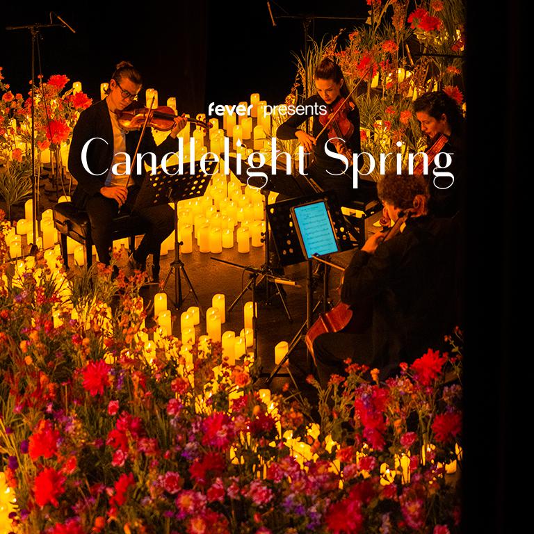 Candlelight Spring A Tribute To Queen