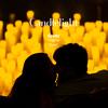 Candlelight: The Best of The Beatles