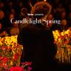 Candlelight Spring: A Tribute to Beyoncé