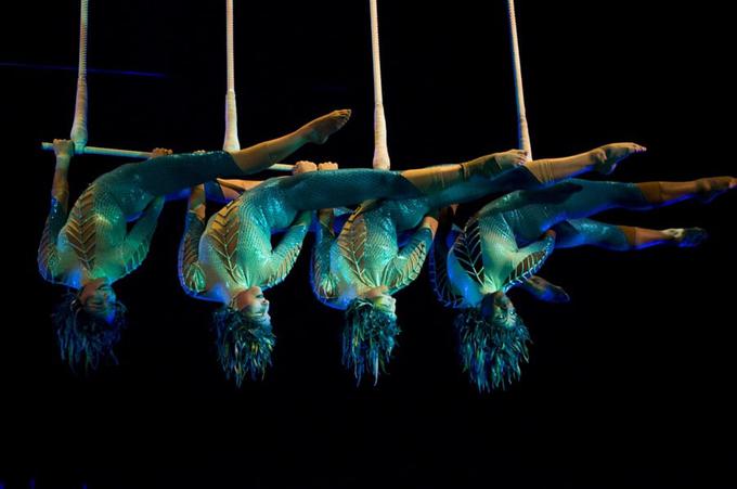 Cirque Du Soleil - Ovo