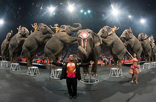 Ringling Bros. and Barnum & Bailey Circus