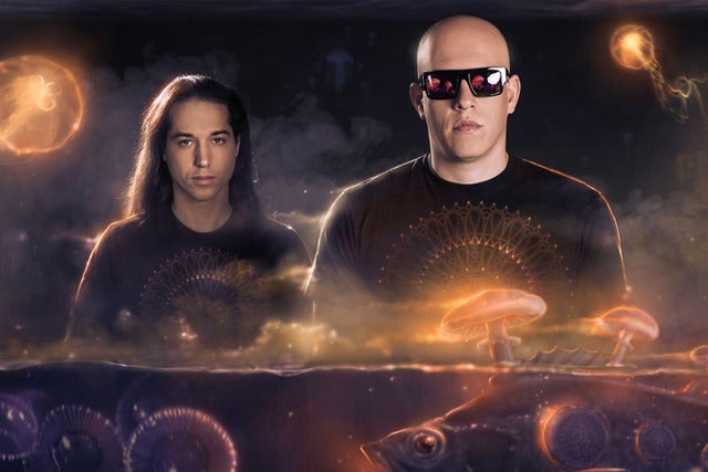 Infected Mushroom