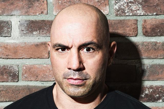 Joe Rogan In Concert