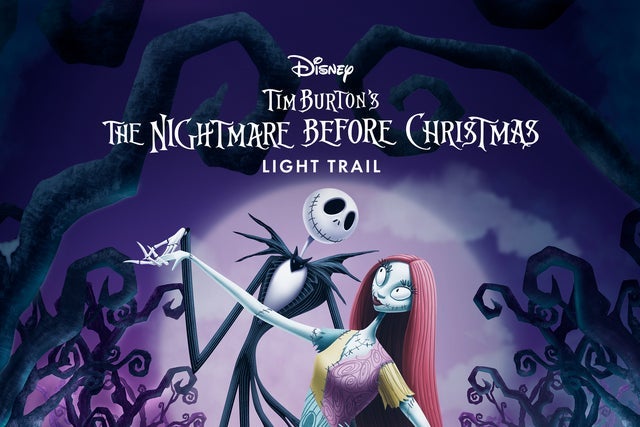 Disney Tim Burton's The Nightmare Before Christmas Light Trail