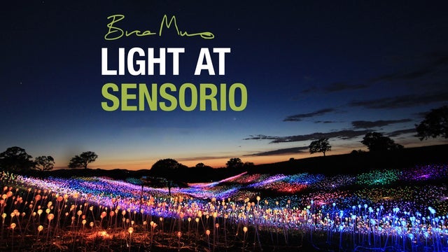 Bruce Munro: Light at Sensorio