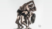 Pilobolus