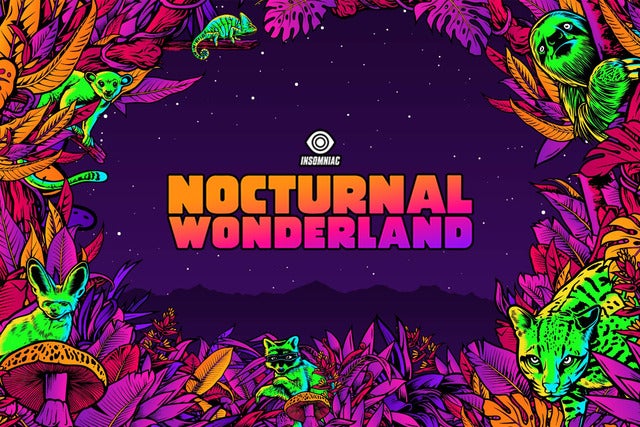 Nocturnal Wonderland