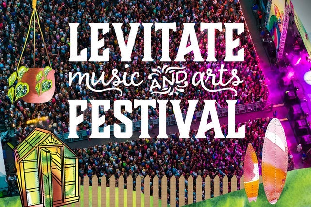 Levitate Festival 2025 Image