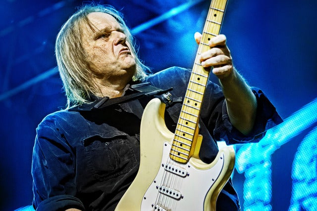 Walter Trout Band