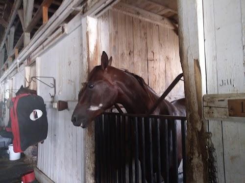 hoosier-lottery-grandstand