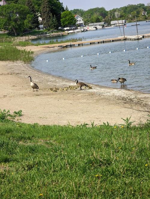 lakefront-park