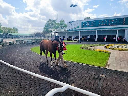 sam-houston-race-park