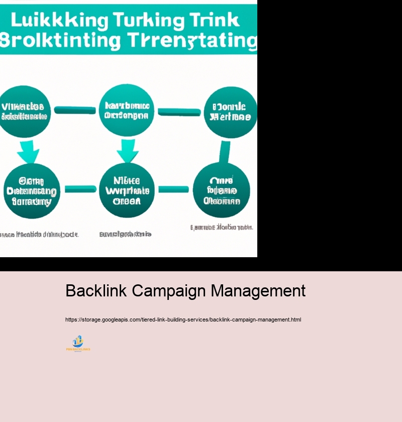 Detailed Introduction to Establishing a Tiered Link Building Project