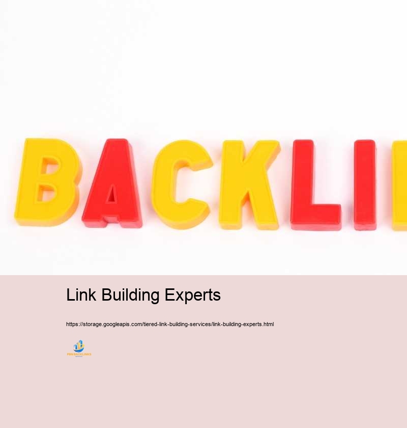 Link Building Experts