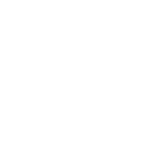 Dell Logo