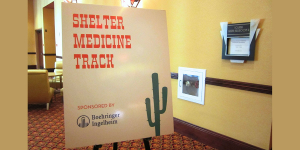 <h2>First Shelter Medicine Track at ABVP</h2>